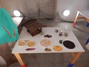 Výlet Dobrovice  Ptačí svět